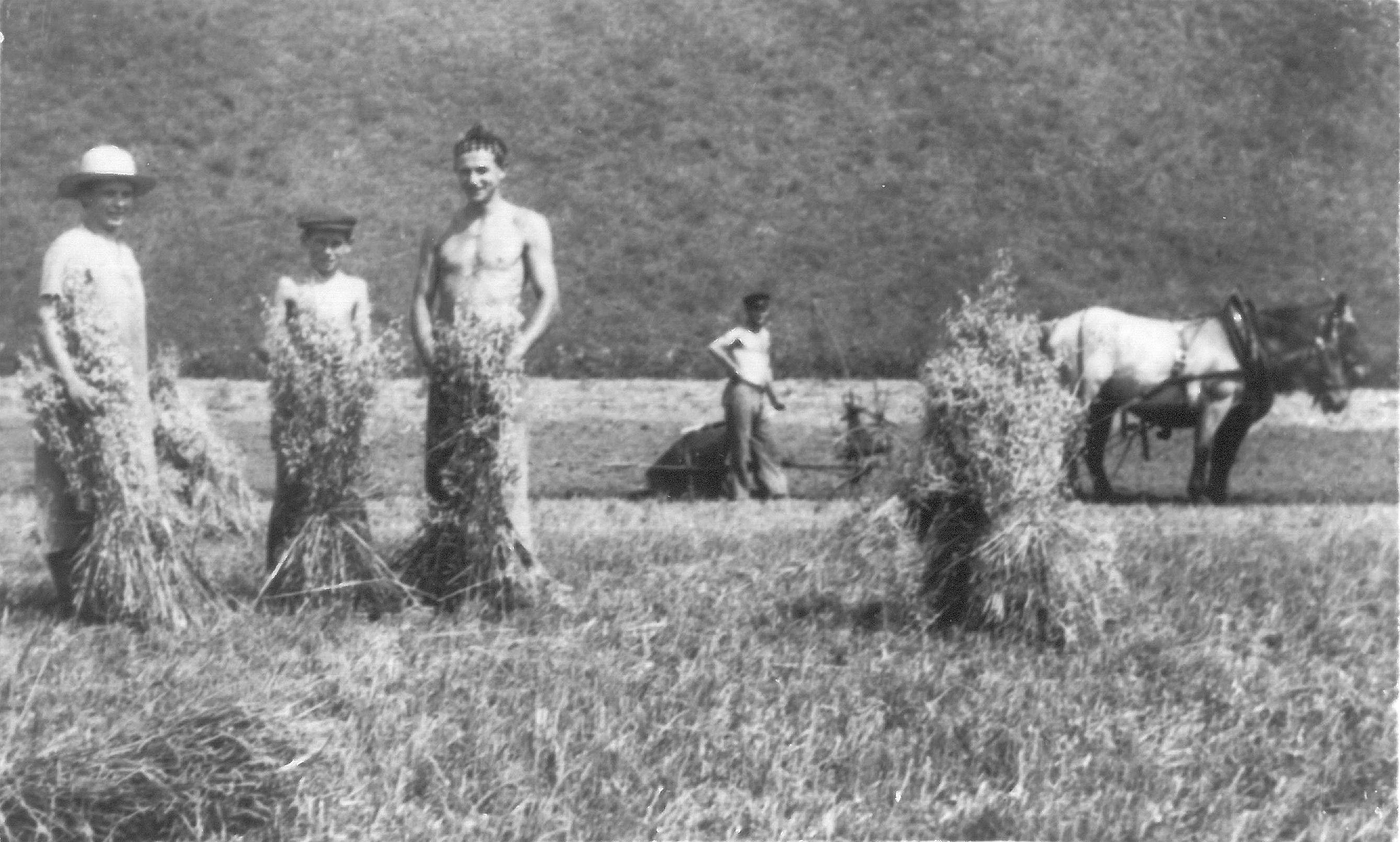 Arnold Wochenmark, third from left, as a farm laborer in Switzerland.