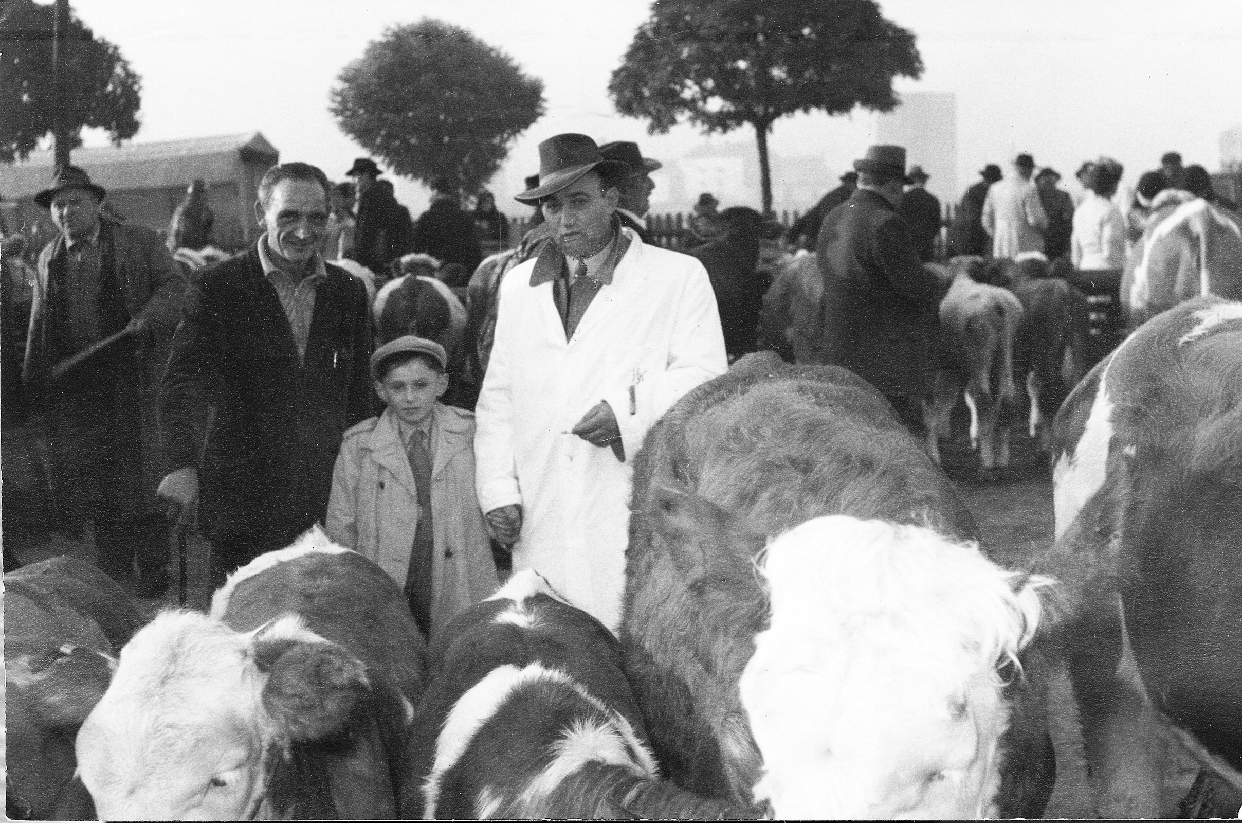 Harry Kahn mit seinem Sohn Fredy auf einem Viehmarkt.