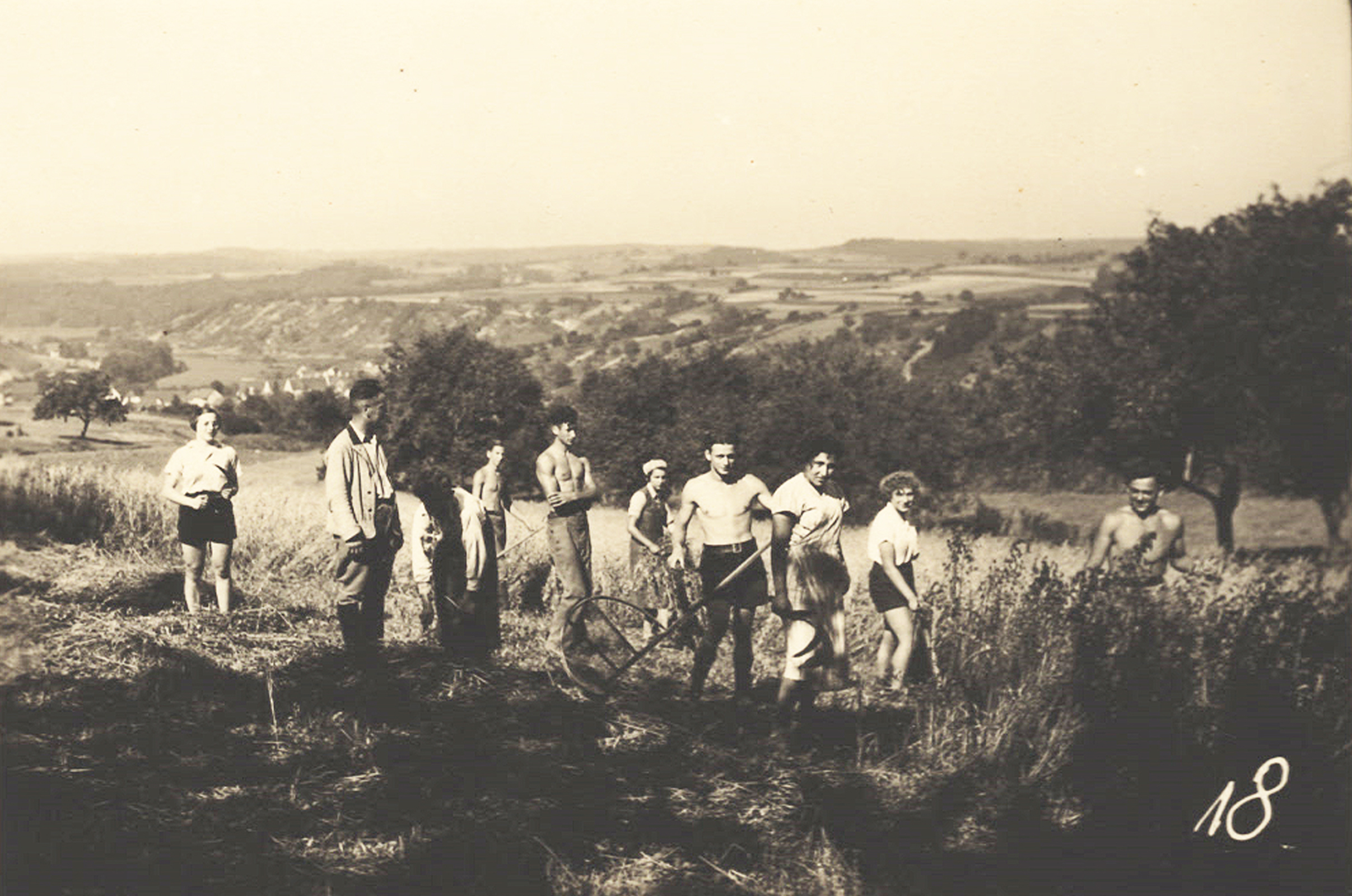 Training at the Sennfeld Estate