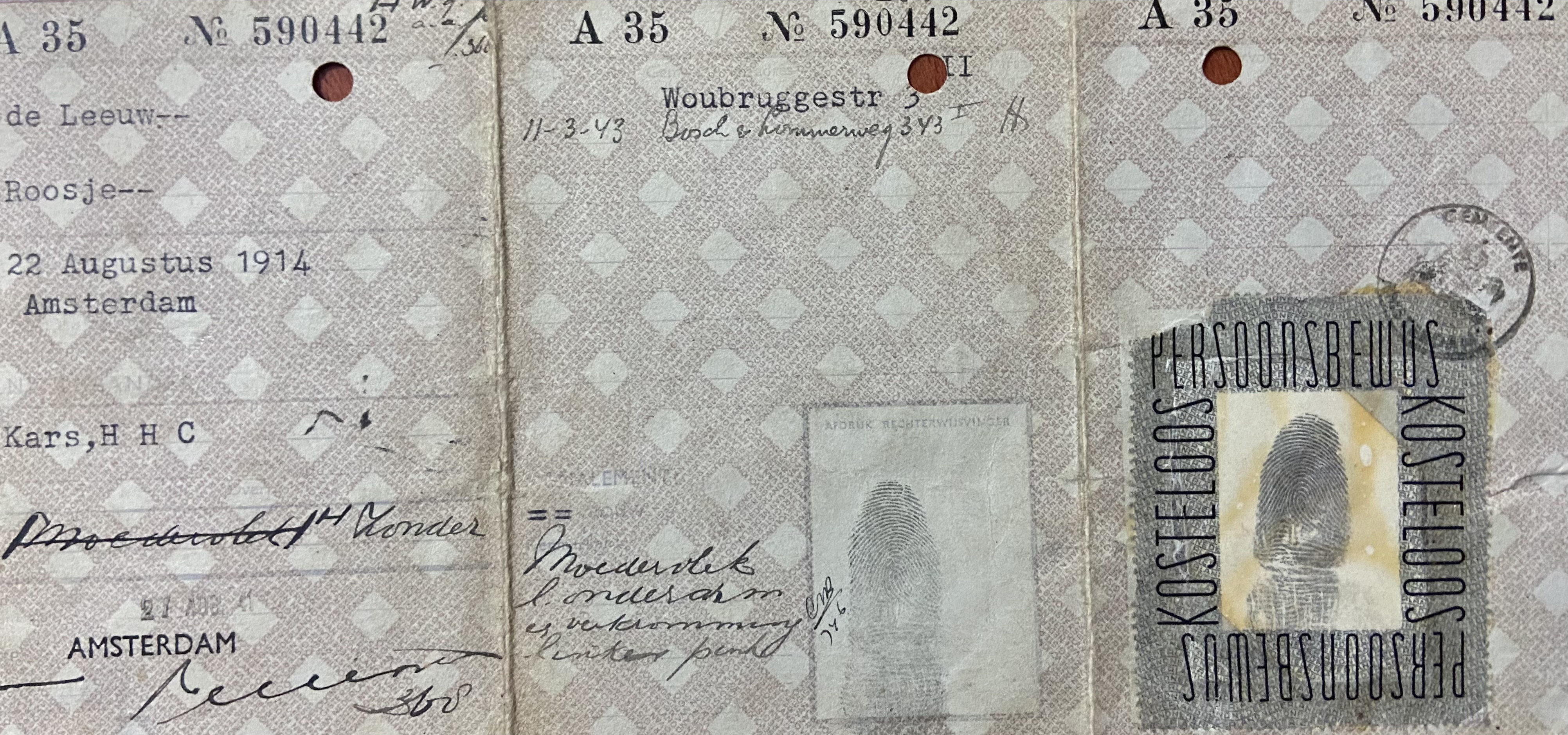 Rosas Personalausweis während der Besatzung Hollands durch die Nazis. Das „J“ soll zeigen, dass sie Jüdin ist. 